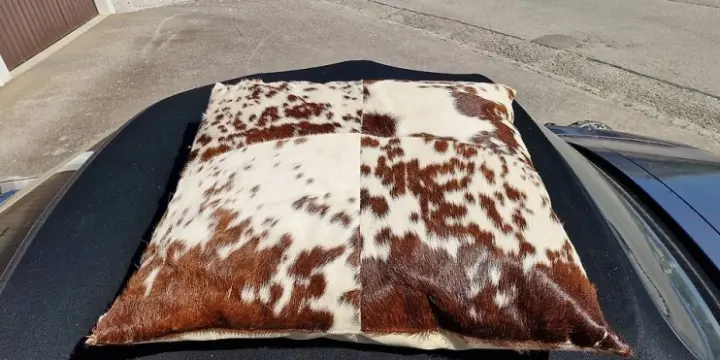 À vendre : Différents coussins (vache)