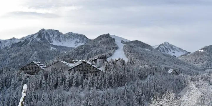 Torgon, lot de 2 appartements mitoyens (2.5 + 4.5 pièces)