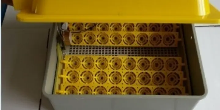 couveuse automatique 48 oeufs