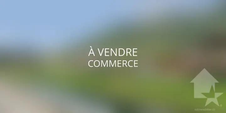 Commerce à vendre au centre de Fully