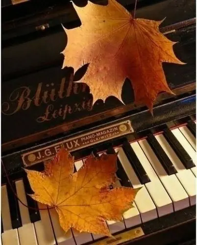 Cours de piano à domicile ou à Cerniat à Cerniat