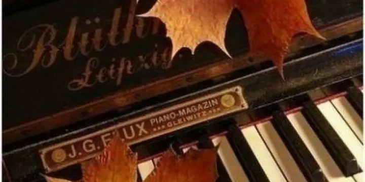 Cours de piano à domicile ou à Cerniat