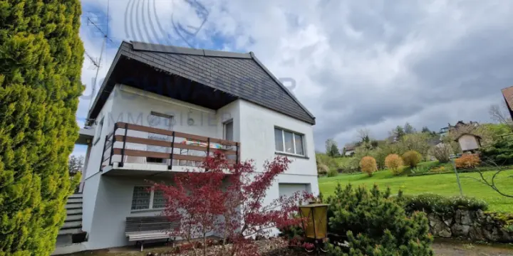 Maison familiale de 6.5 pièces avec activité indépendante au rez