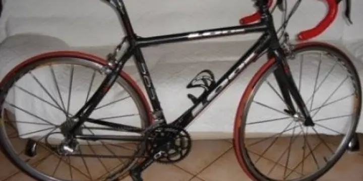 Donne velo look 565