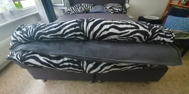 Lit 2 places + matelas (Largeur : 160 cm, Longueur : 210 cm)