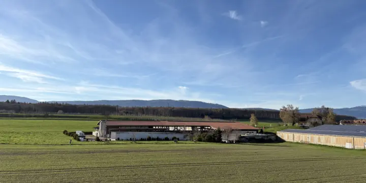 Magnifique attique de 3,5 pièces aux finitions soignées