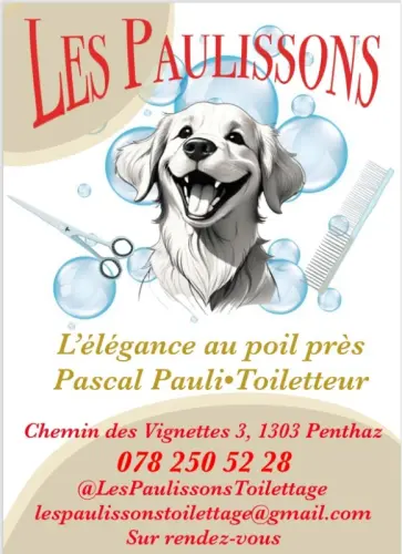 Nouveau à Penthaz à Penthaz