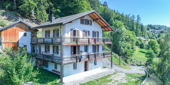 Appartement de 3.5 pièces avec vue sur le glacier de Trient