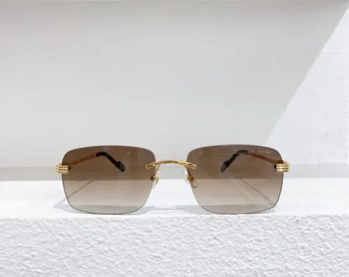 Lunette Cartier 380 CHF à Genève