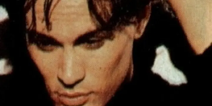 Moi chercher toi..mais ou te caches-tu?