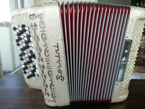 Accordéon ORSINI 96 basses 5 voix avec housse à Genève