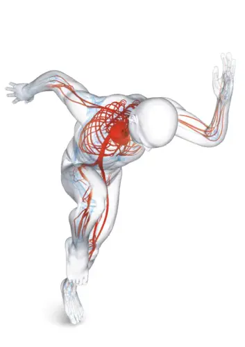 Soins BEMER pour humains