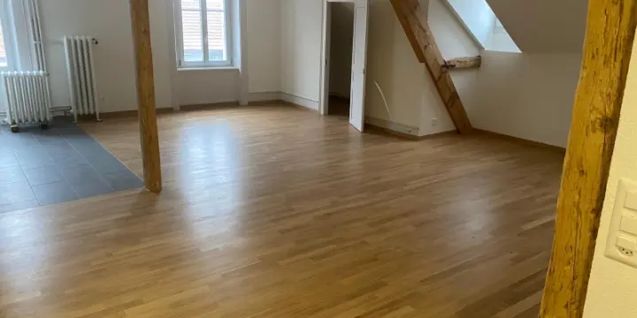 5,5 pièces. Cachet. 1 mois offert