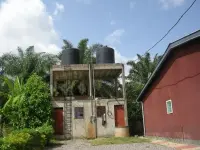 Image 10