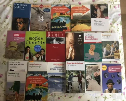 Livres pour étudiant niveau gymnase à Renens