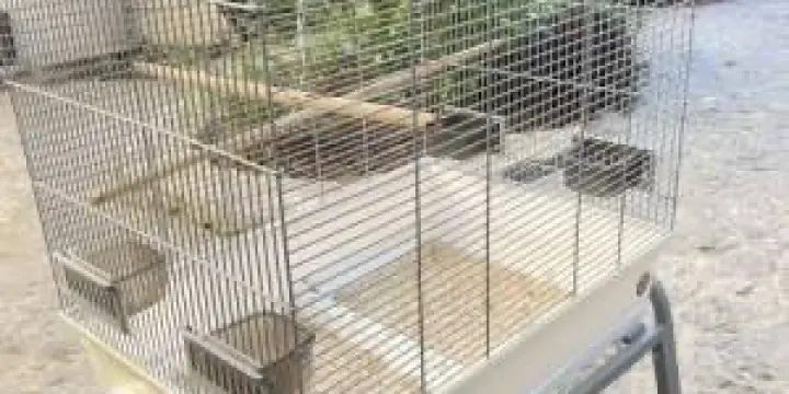 A vendre Cage à perroquets / oiseaux
