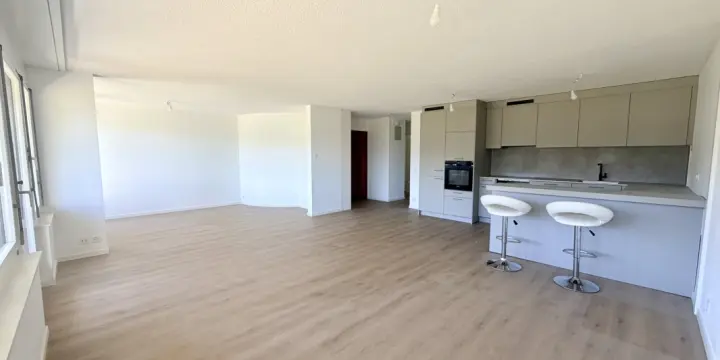 Appartement traversant rénové dans une copropriété bien entretenue