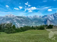 Image 10