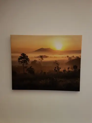 Tableau "Afrique" à Chalais