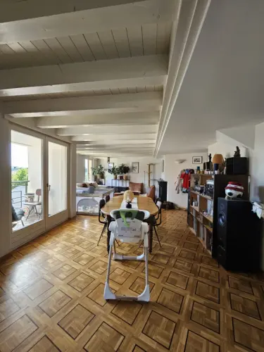 Magnifique duplex sous les combles avec cheminée - Chêne-Bourg