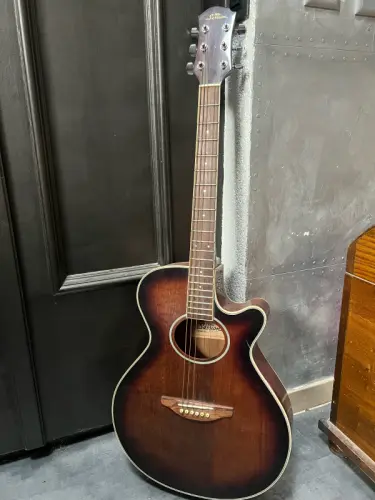 Guitare électro-acoustique Pro Session à Rolle