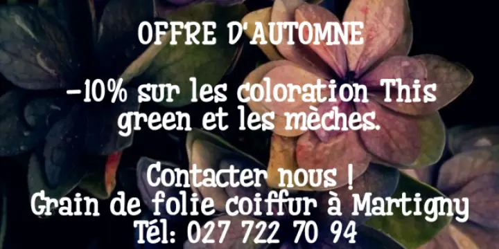 Offre d'automne