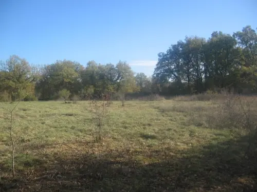 SPLENDIDE TERRAIN CONSTRUCTIBLE à CORN ( FRANCE ) 46100 à CORN ( FRANCE )