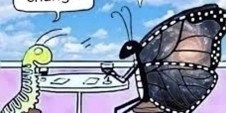 OFFRE DECOUVERTE: Massage métamorphique