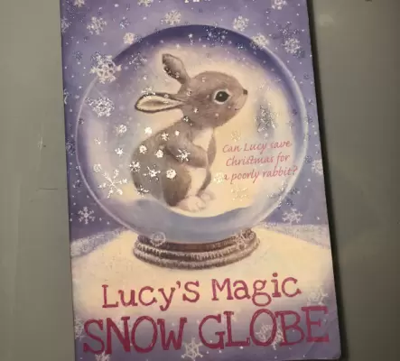 Lucie's magic snow ball - Anne Booth