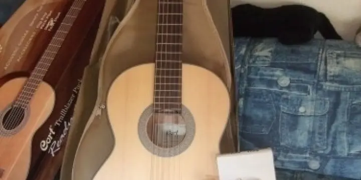 guitare cort à l'état neuve