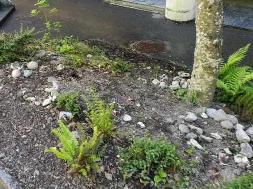 cailloux pour création jardin zen, balcon zen, coin zen. à LAUSANNE