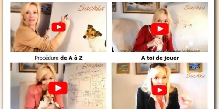 Workshop en ligne sur la Communication avec les Animaux
