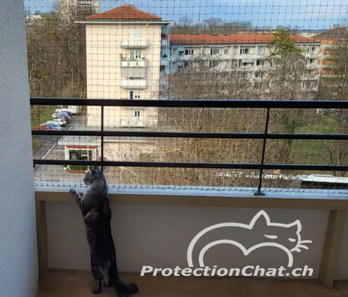 Installation de filets de protection pour chats à Genève