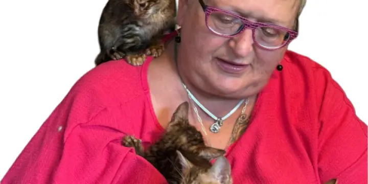 CHATONS TOYGER PUR RACE EXCEPTIONNELS