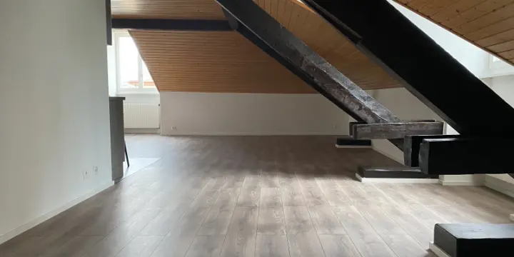 OFFRE MOIS AOÛT GRATUIT Appartement à Châtel-St-Denis