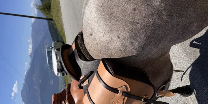 Selle de randonnée de haute qualite