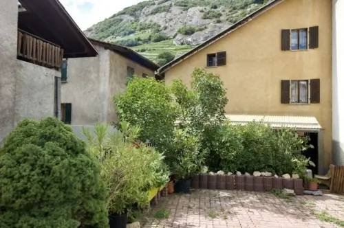 Demeure atypique avec beaucoup de surface au sein du village d'Ardon à Ardon