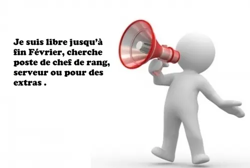 serveur  extras chef de rang à Renens