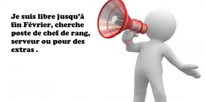 serveur  extras chef de rang