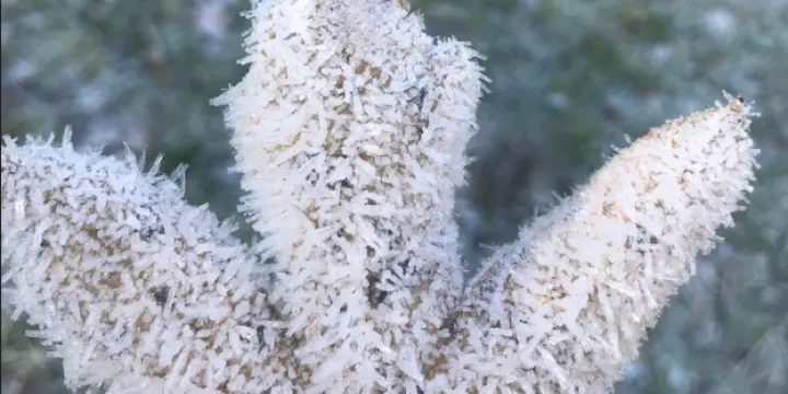 Soins énergétiques LaHoChi à distance