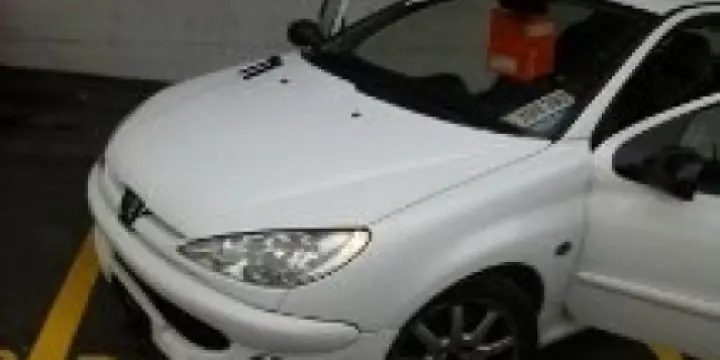 Peugeot 206 rc