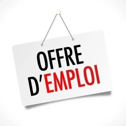 Offre d'emploi Homme ou femme à Geneve