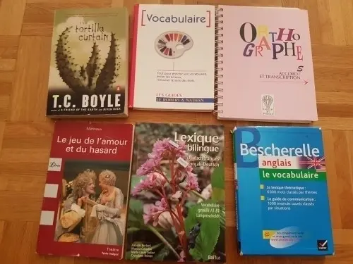 Plusieurs livres du gymnase  à Lausanne