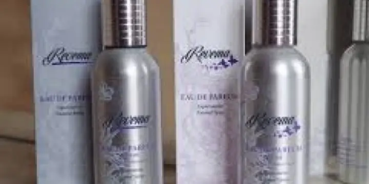 travail à domicile Revema