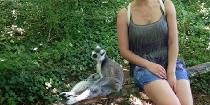 Je recherche une relation sentimentale
