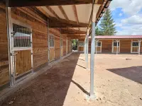 Image 8