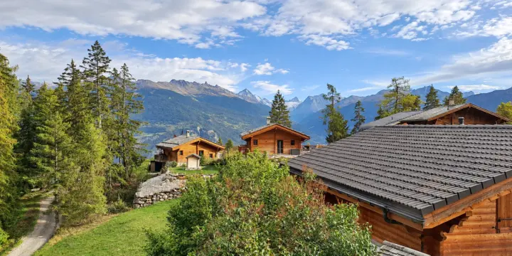 À LOUER : Chalet au Mayen de la Zour - charme, calme et magnifique vue