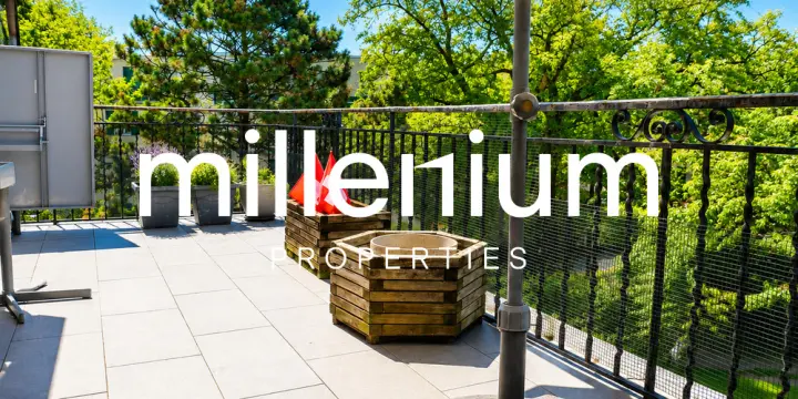 Appartement terrasse meublé de 2 P au Petit Lancy.