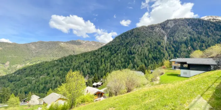 Jolie parcelle de 700m2 à bâtir!