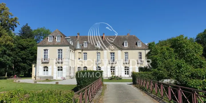 À vendre Château de 45 pièces proche de Vesoul